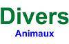 Logo marque Zzdivers_ANI5