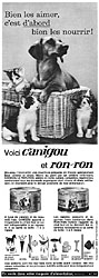 Publicit Canigou 1962