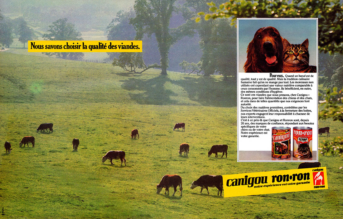 Publicité Ronron 1981