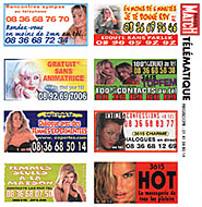 Publicit Telematique 2000