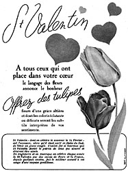 Publicit Hollande 1952