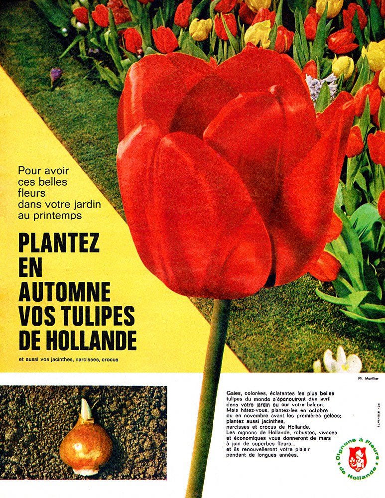 Publicité Hollande 1962
