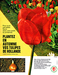 Marque Hollande 1962
