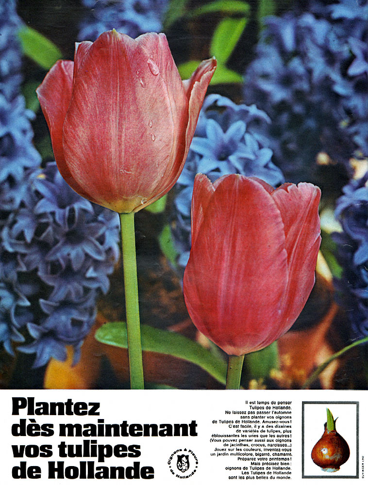 Publicit� Hollande 1965