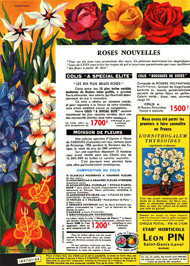 Publicité Lon Pin 1957