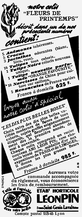 Publicité Lon Pin 1950