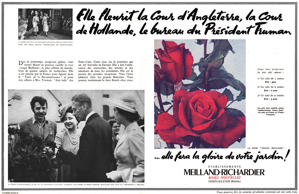 Publicité Meilland-Richardier 1952