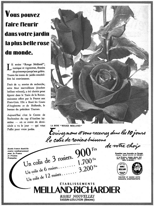 Publicité Meilland-Richardier 1952