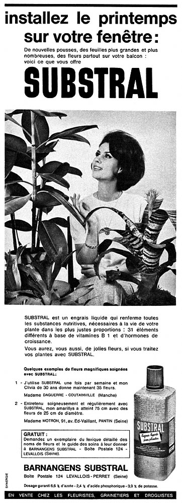 Publicité Substral 1963