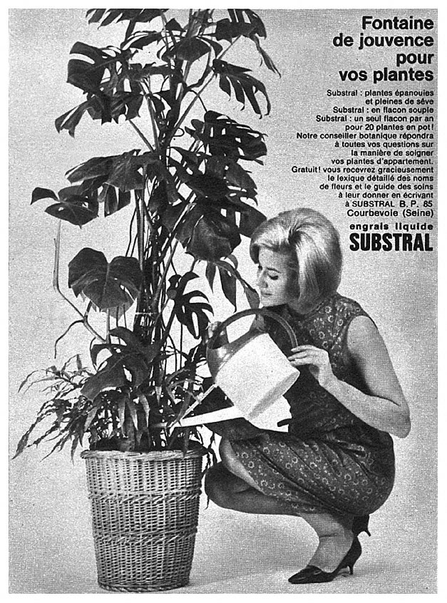 Publicité Substral 1964