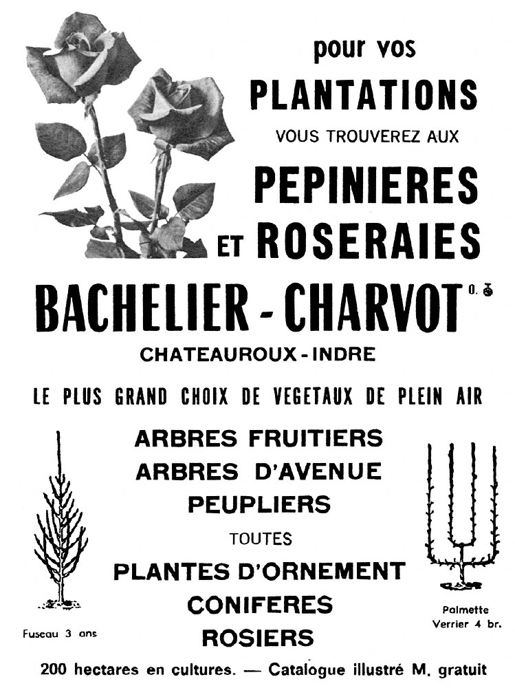 Publicit� Divers 1965