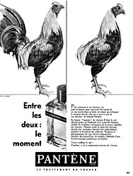Publicit Pantne 1961